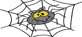 fear of spiders phobia